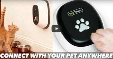 petchatz device