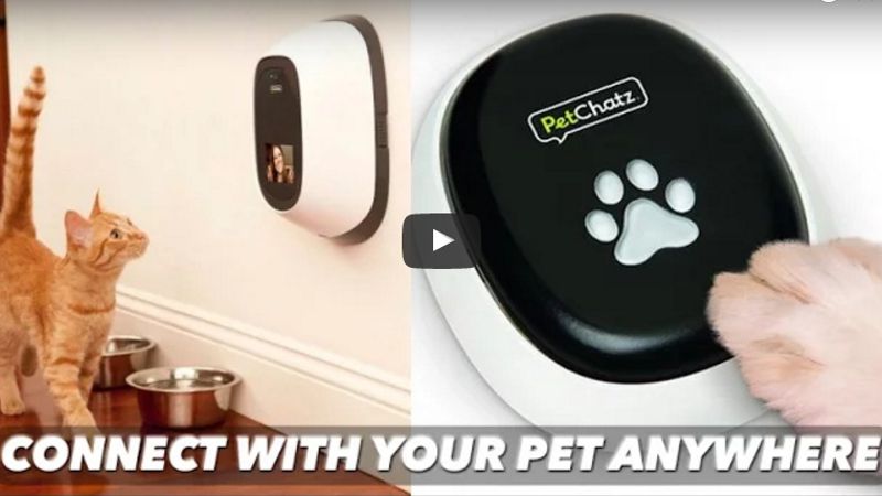 petchatz device