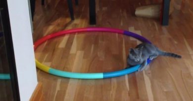 hula hoop