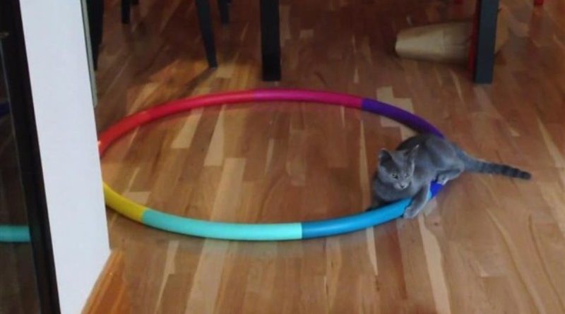 hula hoop