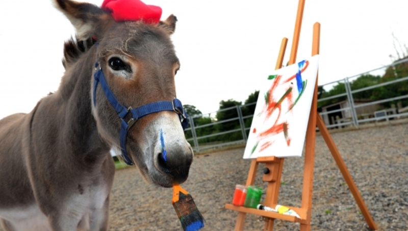 painting donkey