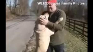 emotional reunion
