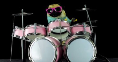 pug drummer