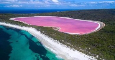 pink lake