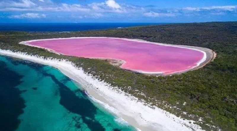 pink lake