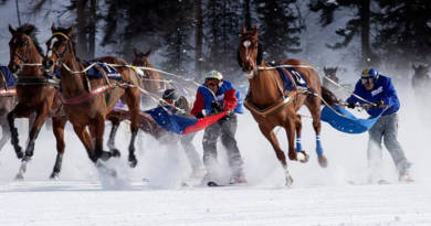 Skijoring