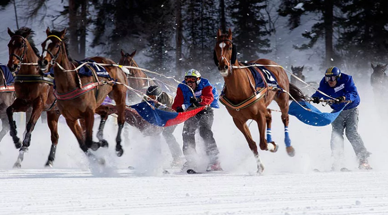 Skijoring