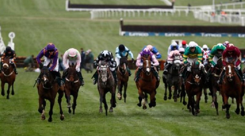 cheltenham festival 2018