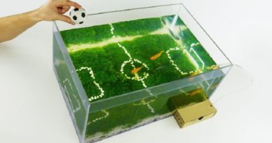 Unique Aquarium Football