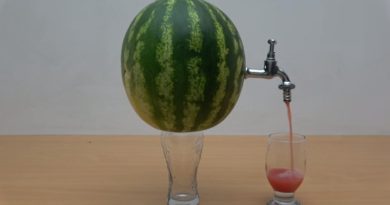 DIY Watermelon Juice