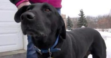 police officer Dog Keeps Barking