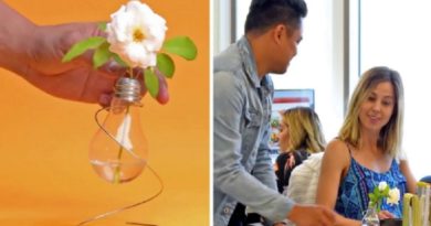 DIY Planter Ideas & More DIY Life Hacks You Must Try (VIDEO)