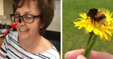 Woman Finds Lost & Confused Bee, Then They Form The Most Precious Friendship (VIDEO)