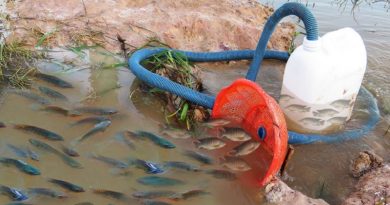 Unique Fish Trapping System