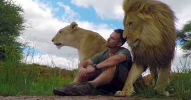 Lion Whisperer