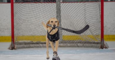 Ice Skating Rescue Dog