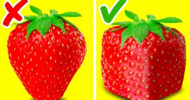 47 INCREDIBLE FRUIT TRICKS