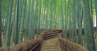 Arashiyama, Kyoto