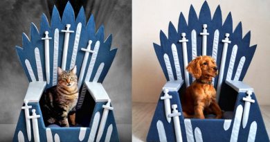 iron throne