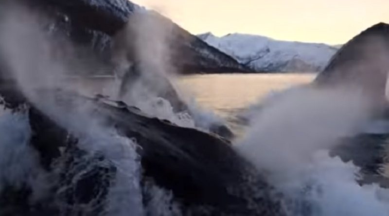 Norwegian fishermen