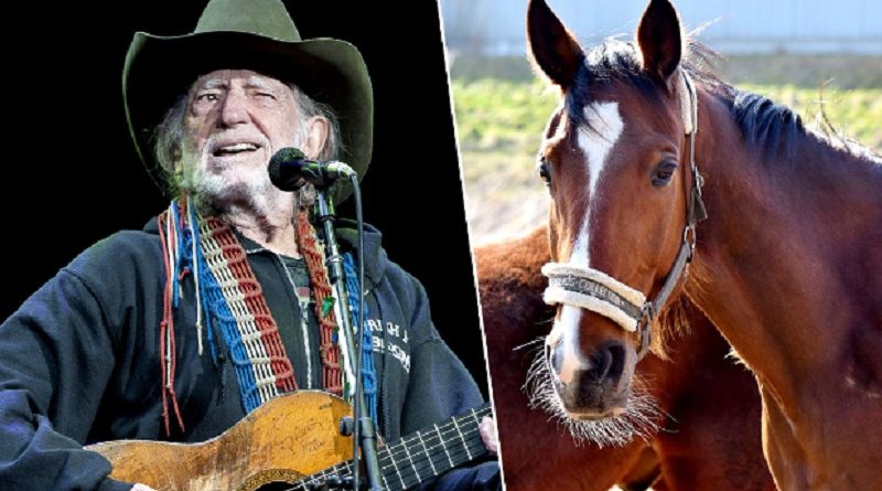 See Willie Nelson’s ‘Luck Ranch’