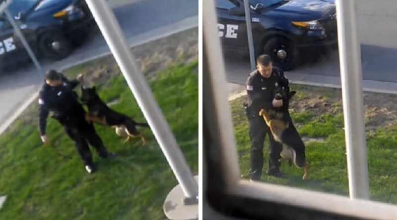 Police Officer Lifting