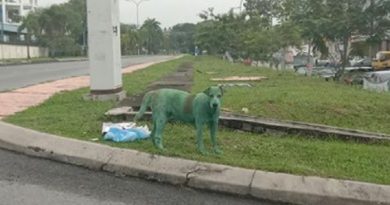 Hungry Pup Green