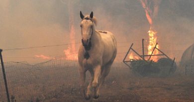 Australia Wildfires