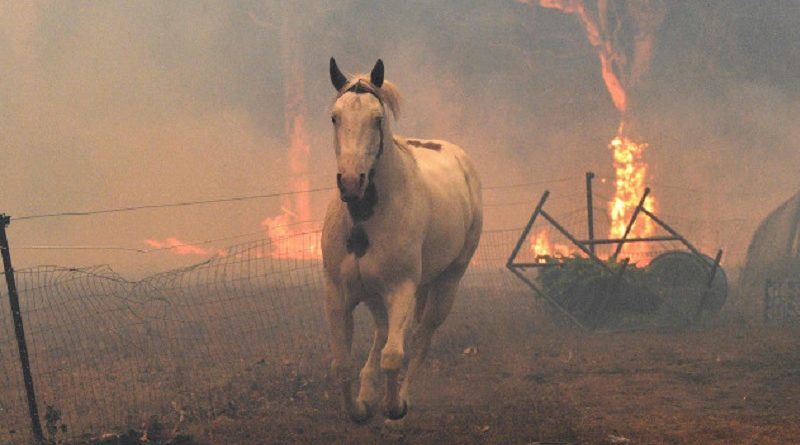 Australia Wildfires