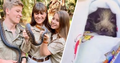 Steve Irwin’s Family Has Saved More Than 90,000 Animals Including Australia Wildfire Victims