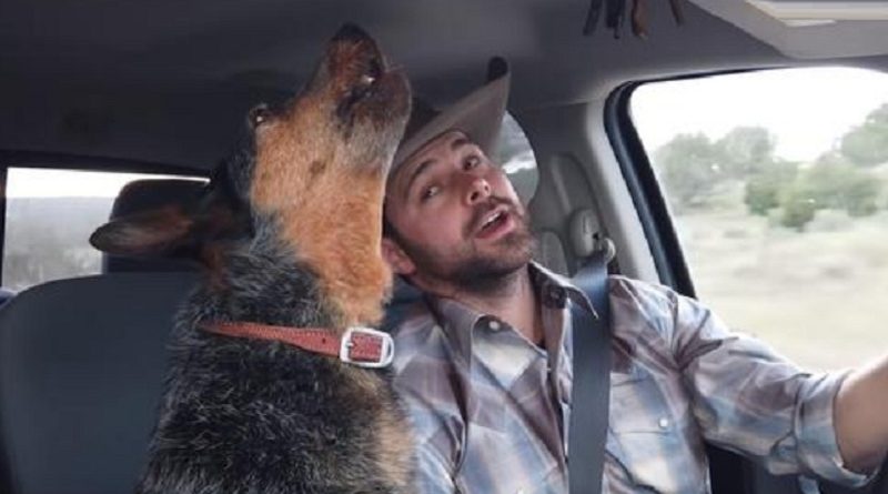 Country Music-Loving Dog Has One Favorite Song