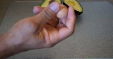 avocado seed