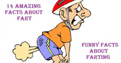 Funny Facts About Farting