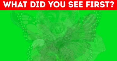 The First Animal You See Reveals a Lot About Your Personality