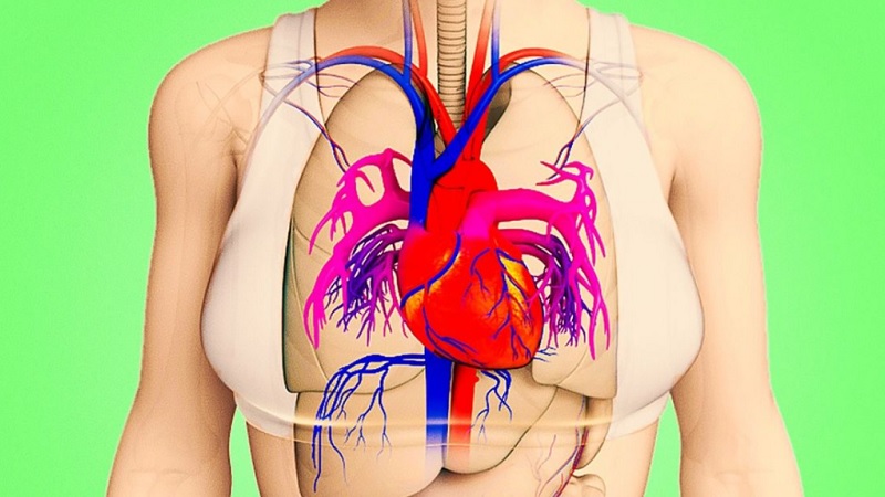 A Month Before a Heart Attack, Your Body Will Warn You With These 5 Signals