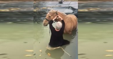 Old Woman Jumps Into Cold Water