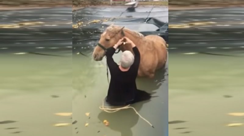 Old Woman Jumps Into Cold Water