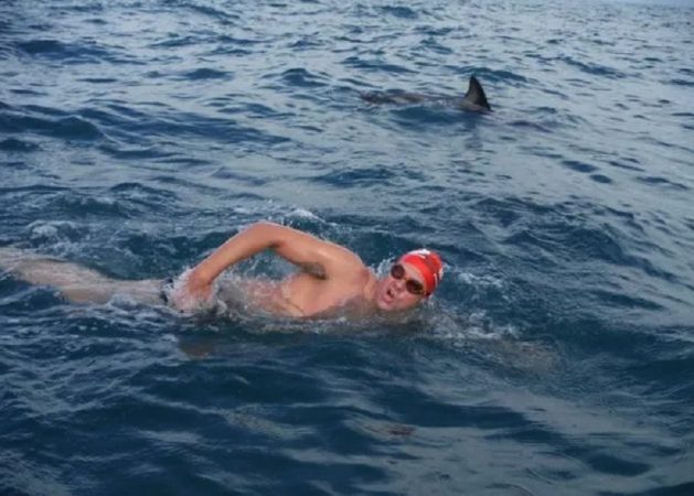 Hero dolphins RESCUE Brit swimmer