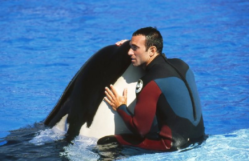 Warning over SeaWorld orcas